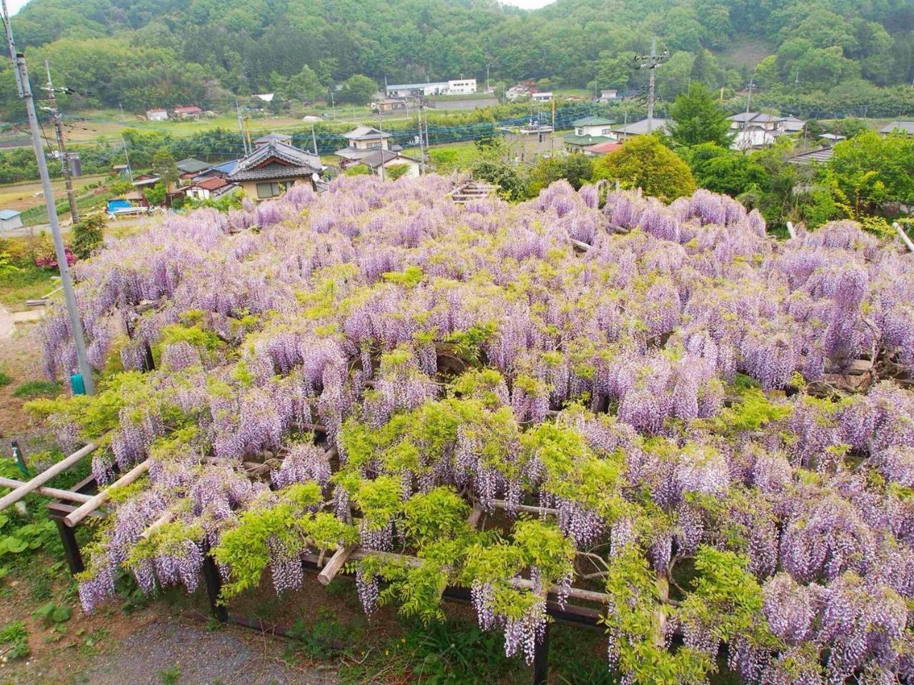 Guesthouse-Lahar Daigo ภายนอก รูปภาพ